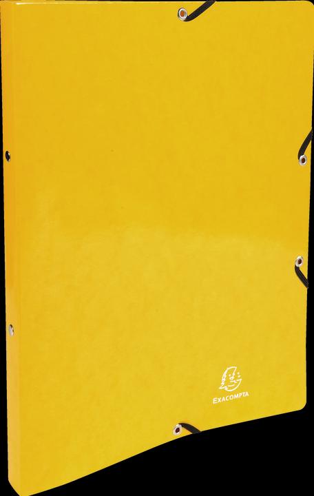 Actual product image Exacompta Ring binders (A4, 20 mm, 1 Piece)