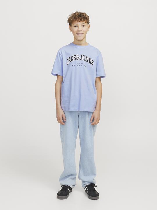 Actual product image Jack & Jones Jjecaleb Varsity Tee Ss O-Neck Noos Jnr (140)