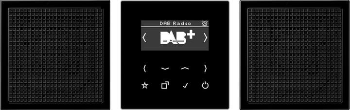 Immagine prodotto JUNG Smart Radio DAB+ DABLS2SW (Sintonizzatore radio)