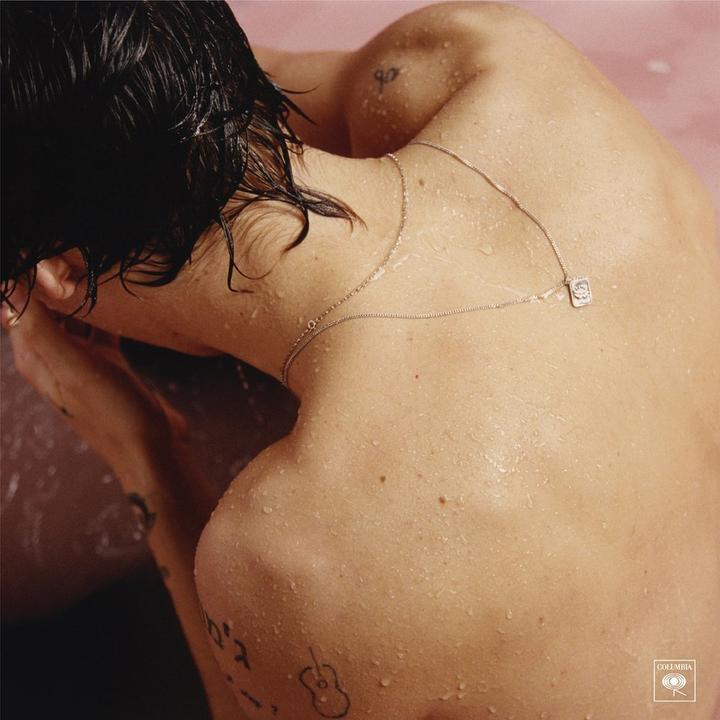 Stili Harry (Stili Harry, 2017)