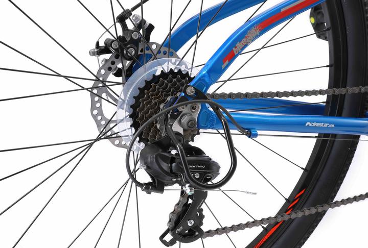Actual product image Bikestar Hardtail mountain bike (46 cm)