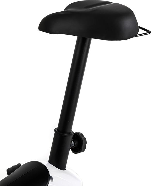 Actual product image Zipro Beat