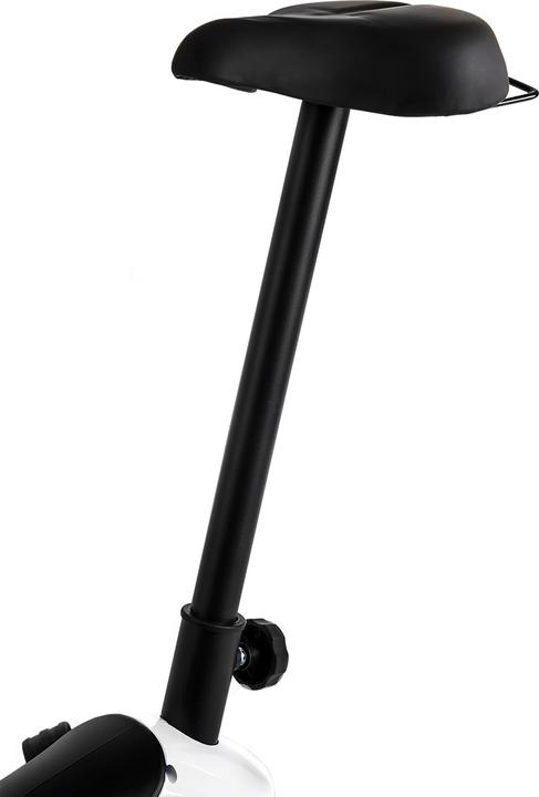 Actual product image Zipro Beat