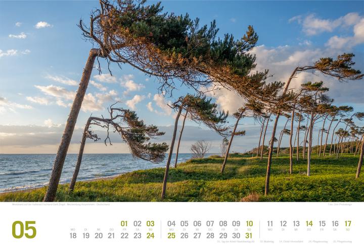 Produktbild Ostsee - von Flensburg bis nach Usedom - ReiseLust Kalender 2026 (45 x 33 cm, Harter Einband, Deutsch)