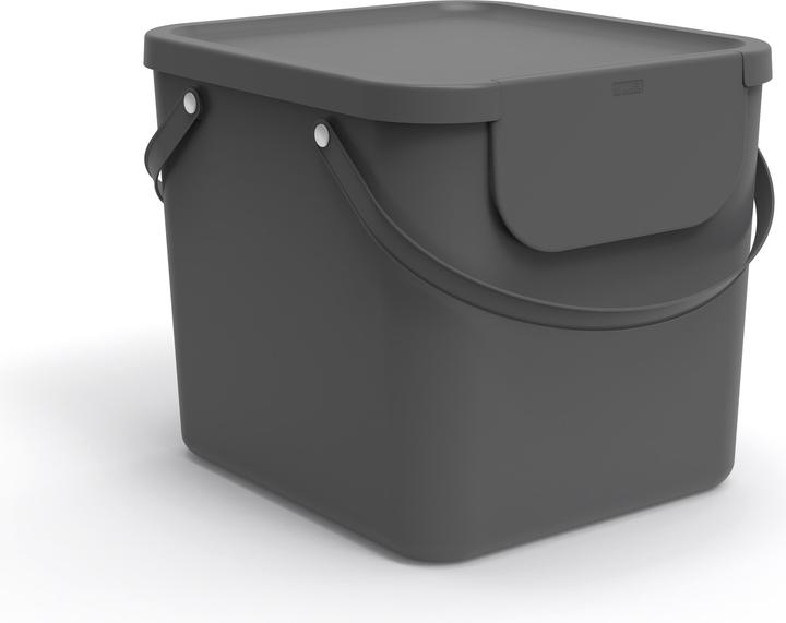 Rotho Portarifiuti Albula 40 l, antracite (40 l)