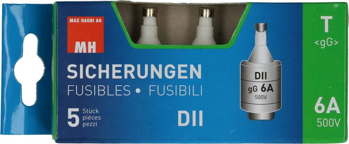 Max Hauri Fusible 6A retardé 500V DT-II 5 pcs. (6 A, Paresseux)