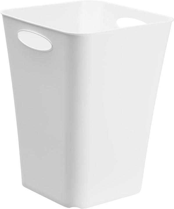 Immagine prodotto Rotho Scatola vivente (29,5 x 39,5 x 29,5 cm, 23 l)