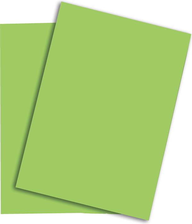 Actual product image Papyrus Rainbow Paper Green A3 (160 g/m², 250 x, A3)