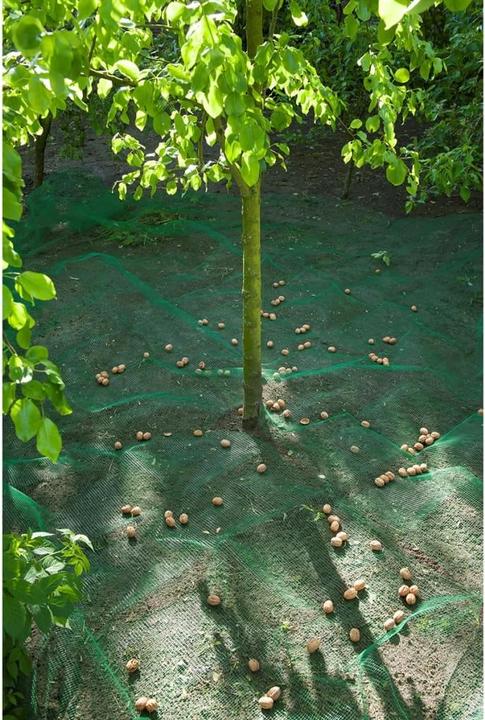 Image du produit Nature Lexis