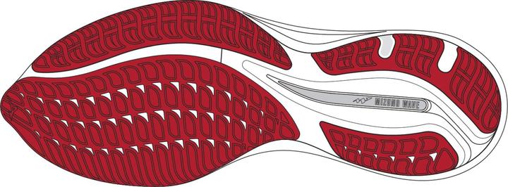 Image du produit Mizuno Wave Rider Amsterdam (47)