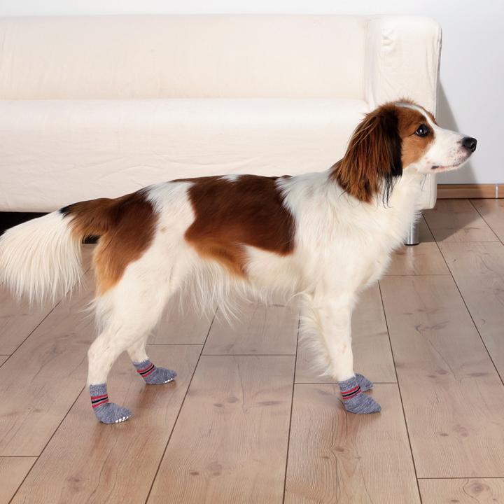 Image du produit Trixie Chaussettes pour chiens (M, L, Chaussettes pour chien)