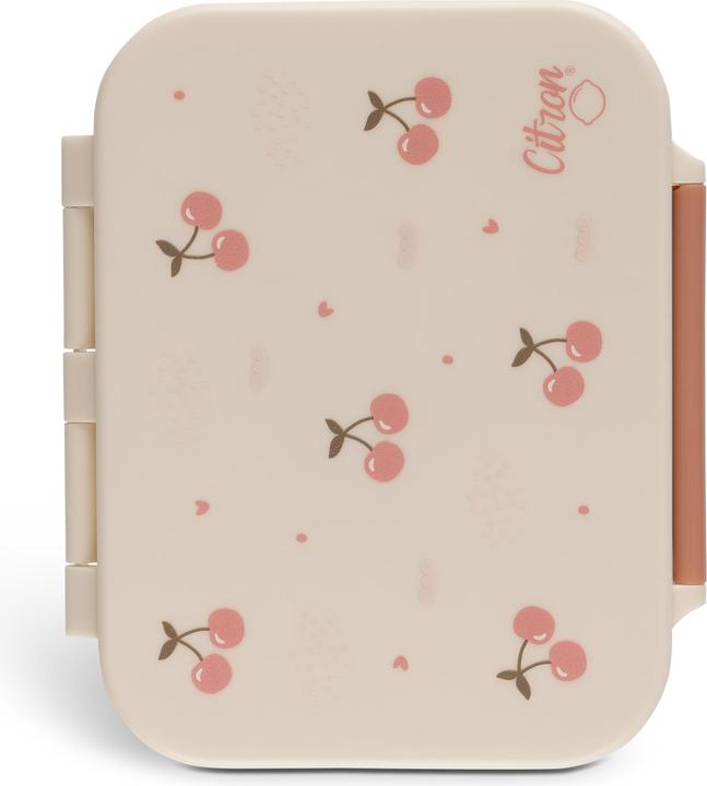 Lunch boxes