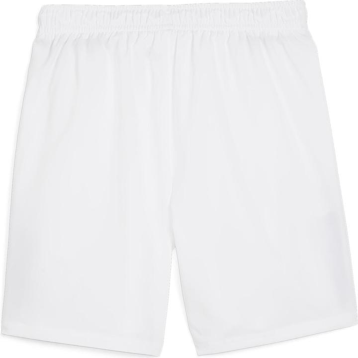 Actual product image Puma FSF Woven Shorts (L)