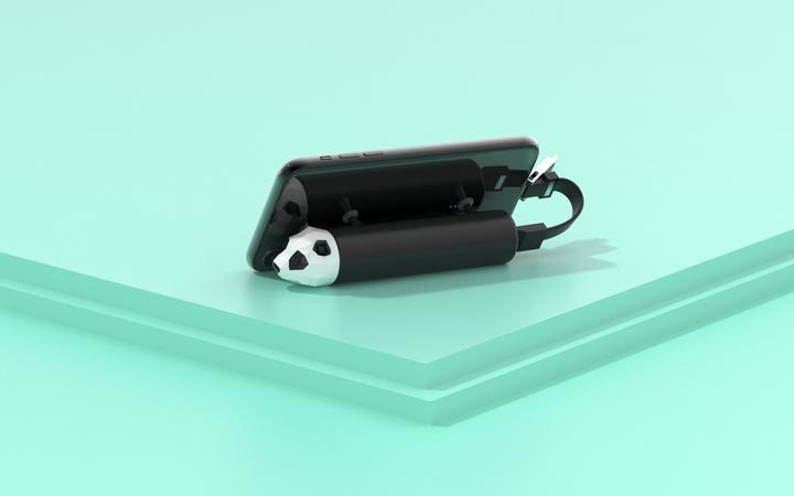 Productafbeelding Mobility on Board Power Pets Panda (4800 mAh, 17.76 Wh)