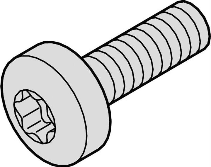 Immagine prodotto Schroff Vite a testa cilindrica Torx - NTS MS LINSHR M4X10 100STK