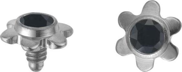 Image du produit Bijouteria Embout Dermal-Anchor (Cristallin, Titane)