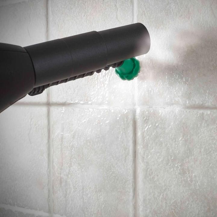 Actual product image Polti FAV80 (6 bar, 2450 W)