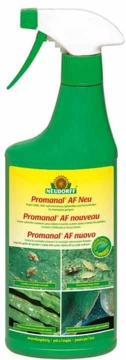 Produktbild Neudorff Promanal AFSchild- & Wolllausfrei (Wollläuse, Schildläuse)