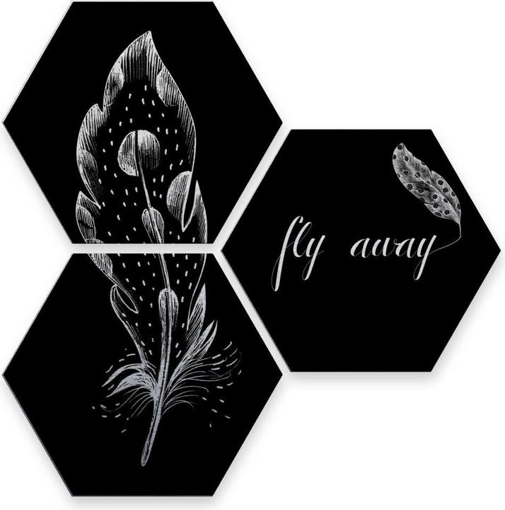 Image du produit Trenddeko Hexagone - Effet argenté - Kvilis - Fly away - Plume (set de 3) (35 x 30 cm)