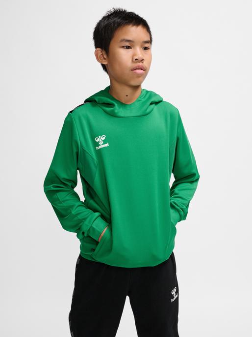 Immagine prodotto hummel Hmlauthentic Pl Hoodie Kids (140)