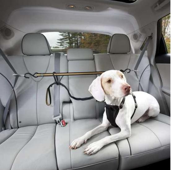 Actual product image Kurgo Car Zip Line & Leash (Dog, Reflectors)