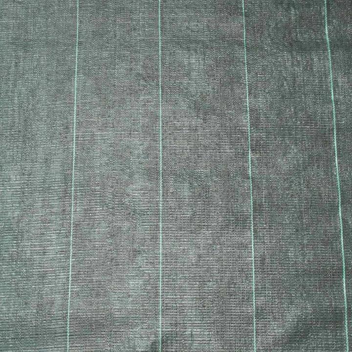 Image du produit Nature Geotextile (5000 cm, 210 cm)