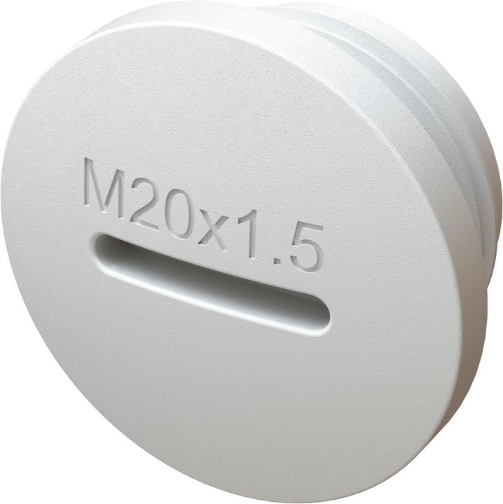Produktbild Max Hauri exo Verschlussschraube M20 (inkl. Dichtung), 2 Stück