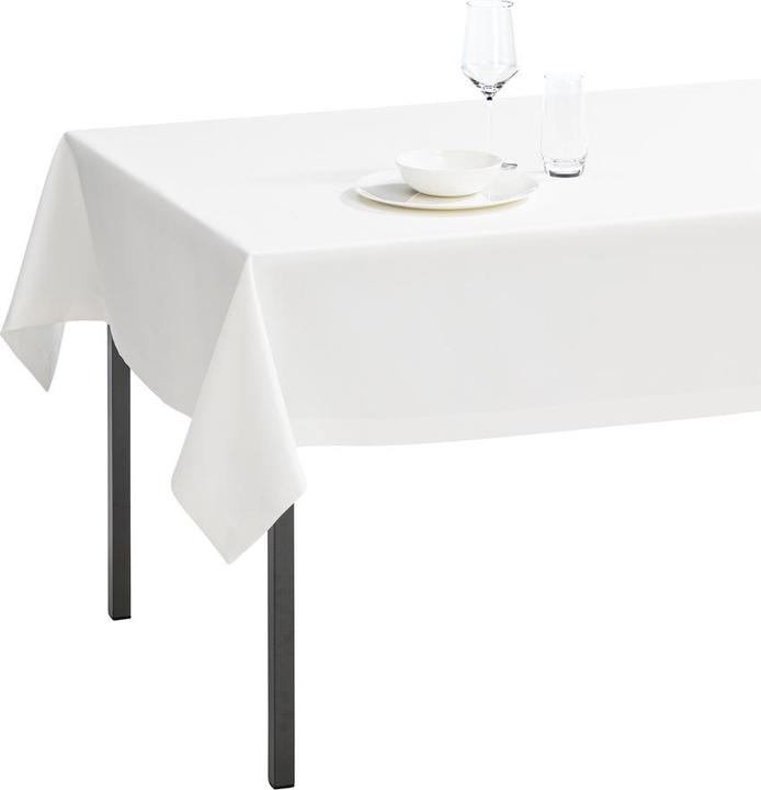Tablecloth