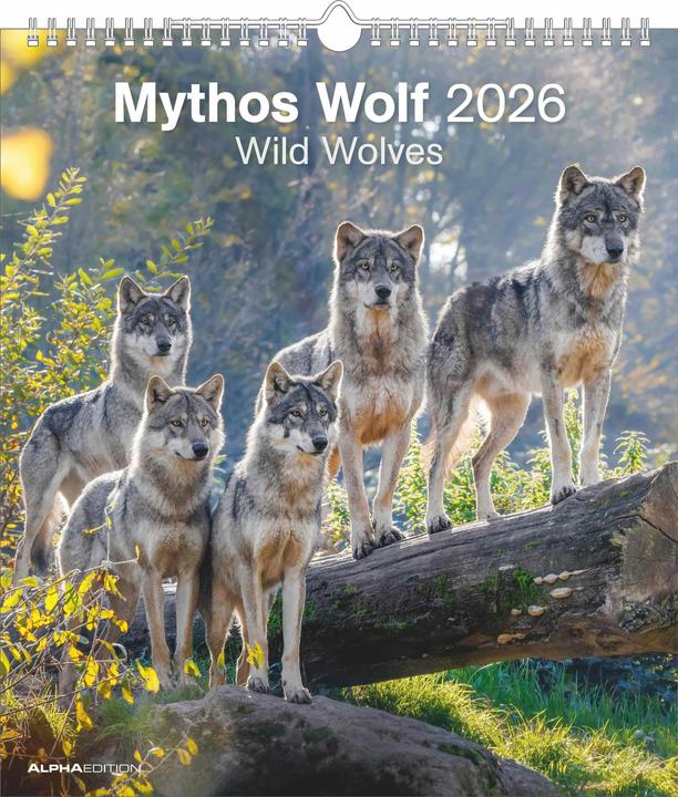 Immagine prodotto Alpha Edition Mythos Wolf 2026 - Foto-Kalender - Wand-Kalender - 30x34 (30 x 34 cm, Copertina rigida, Francese, Olandese, Inglese, Tedesco)