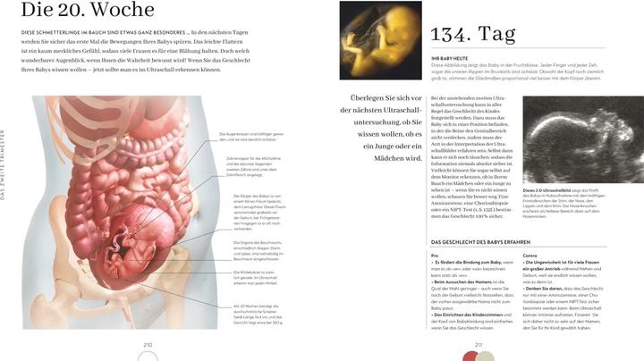 Produktbild Alles über meine Schwangerschaft Tag für Tag (Deutsch, Anke Wellner-Kempf, Dr. Maggie Blott, DK Verlag, 2023)