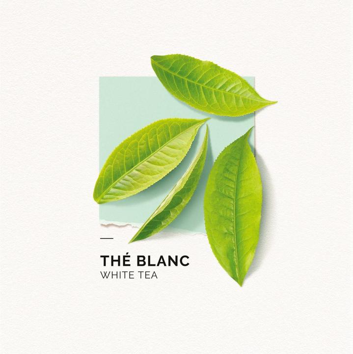 Image du produit Solinotes Paris Solinotes - Thé Blanc Eau De Parfum (Eau de parfum, 15 ml)