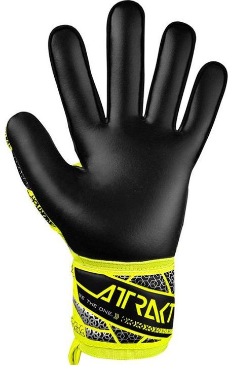 Actual product image Reusch Attrakt Silberne Torwarthandschuhe (10.5)