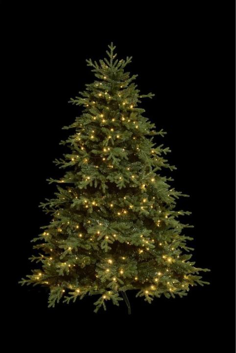 Image du produit STT Tree (180 cm)