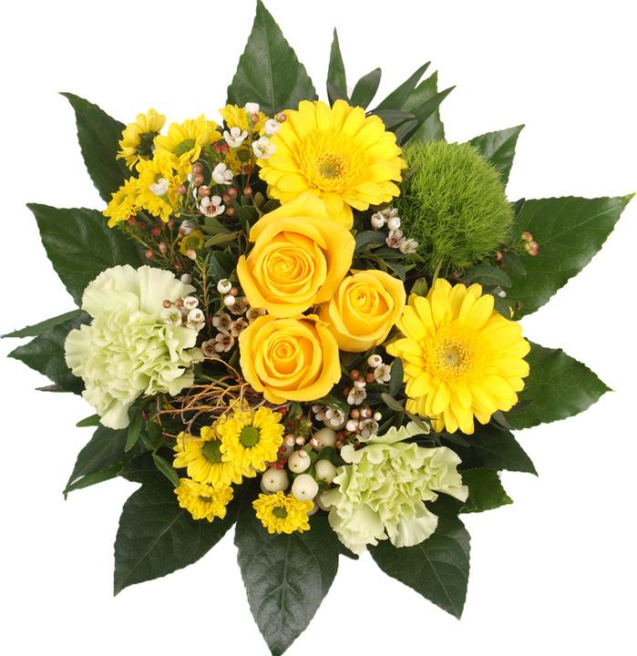 Floramall Sunny Day (Cut flowers)