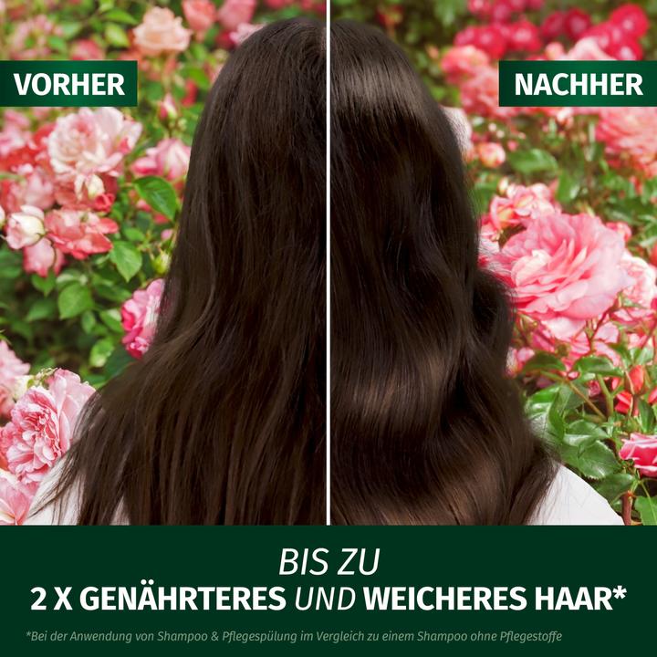 Immagine prodotto Herbal Essences Blütensaft Schwereloses All In 1 Leave-In Spray mit Rosenduft 145ml (145 ml)