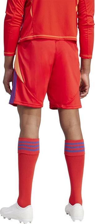 Actual product image adidas TIRO24 SHORT (3XL)