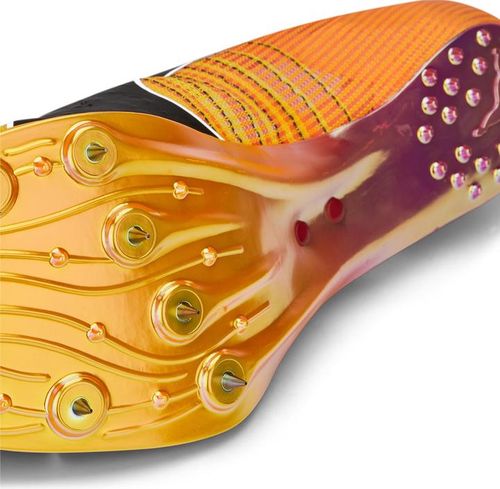 Actual product image Puma evoSPEED Tokyo Nitro (44)