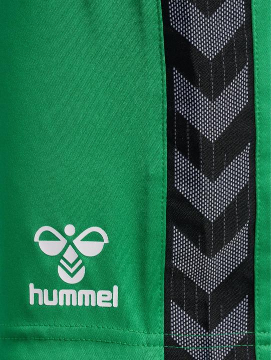 Actual product image hummel Hmlauthentic Pl Shorts Woman (S)