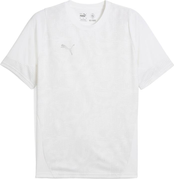 Puma teamCUP Training Jersey