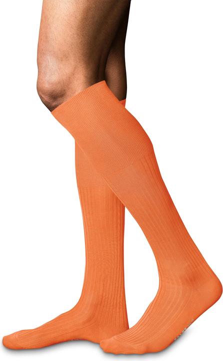Immagine prodotto Falke No. 10 KH (41 - 42)