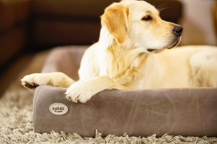 Produktbild Sabro Hundebett (Hund)
