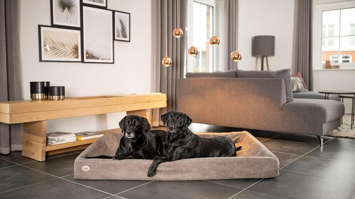 Produktbild Sabro Hundebett (Hund)