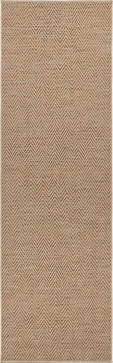 Beige, Terracotta