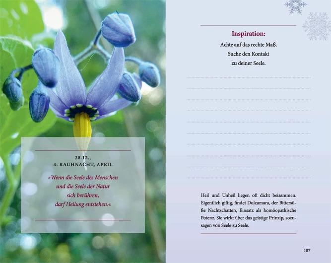 Produktbild Rauhnächte: Die geheimnisvolle Zeit zwischen den Jahren (erweiterte Neuausgabe) (Deutsch, Elfie Courtenay, 2020)