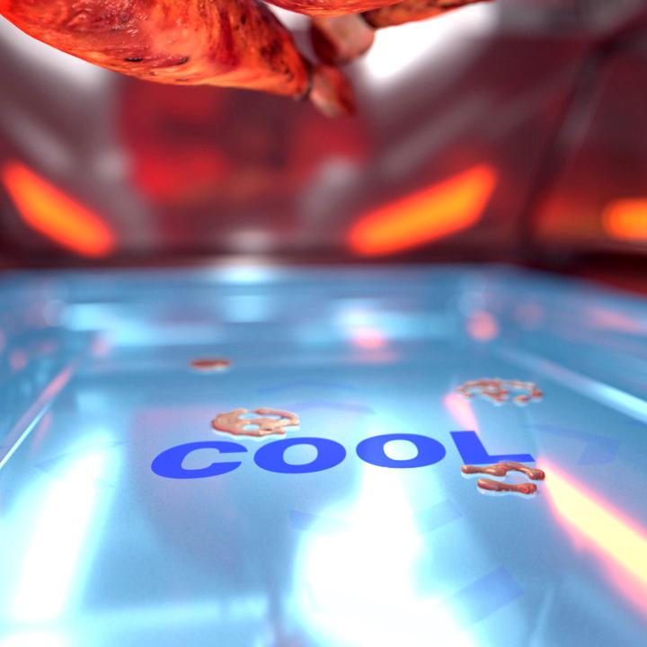 Actual product image Livington Rotisserie Chef