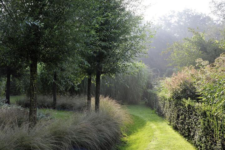 Produktbild Meine Vision wird Garten (Deutsch, Peter Janke, 2012)
