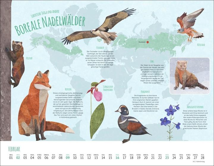 Produktbild Wo Tiere und Pflanzen zu Hause sind Kalender 2025 - Biome der Welt (44 x 34 cm, Harter Einband, Deutsch)
