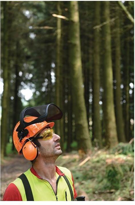 Image du produit 3M Casque de protection (54 - 62 cm)