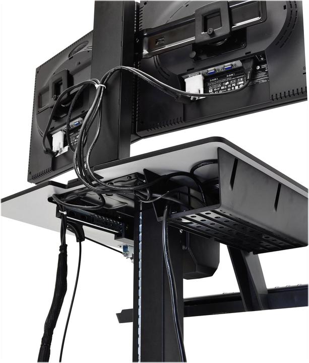 Immagine prodotto Ergotron Workfit-C Dual (22.01")