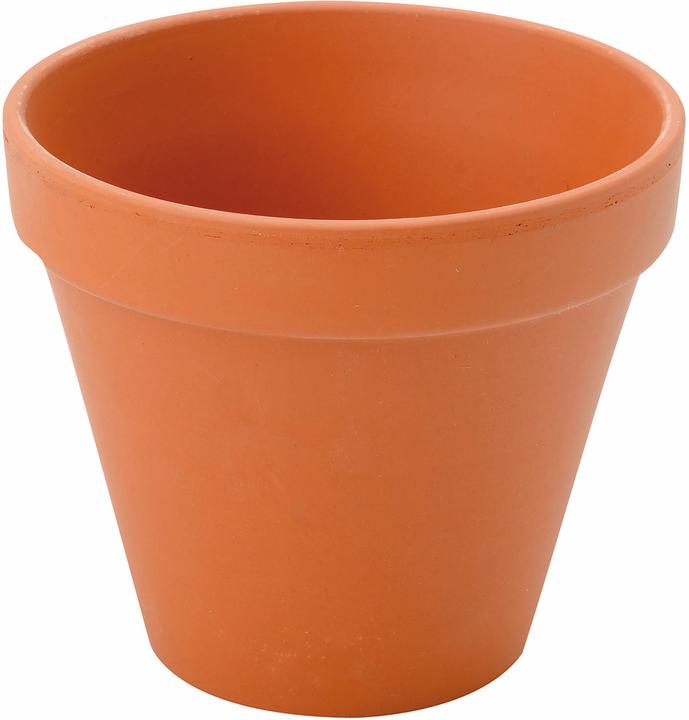 Produktbild Spang Blumentopf (12 cm)